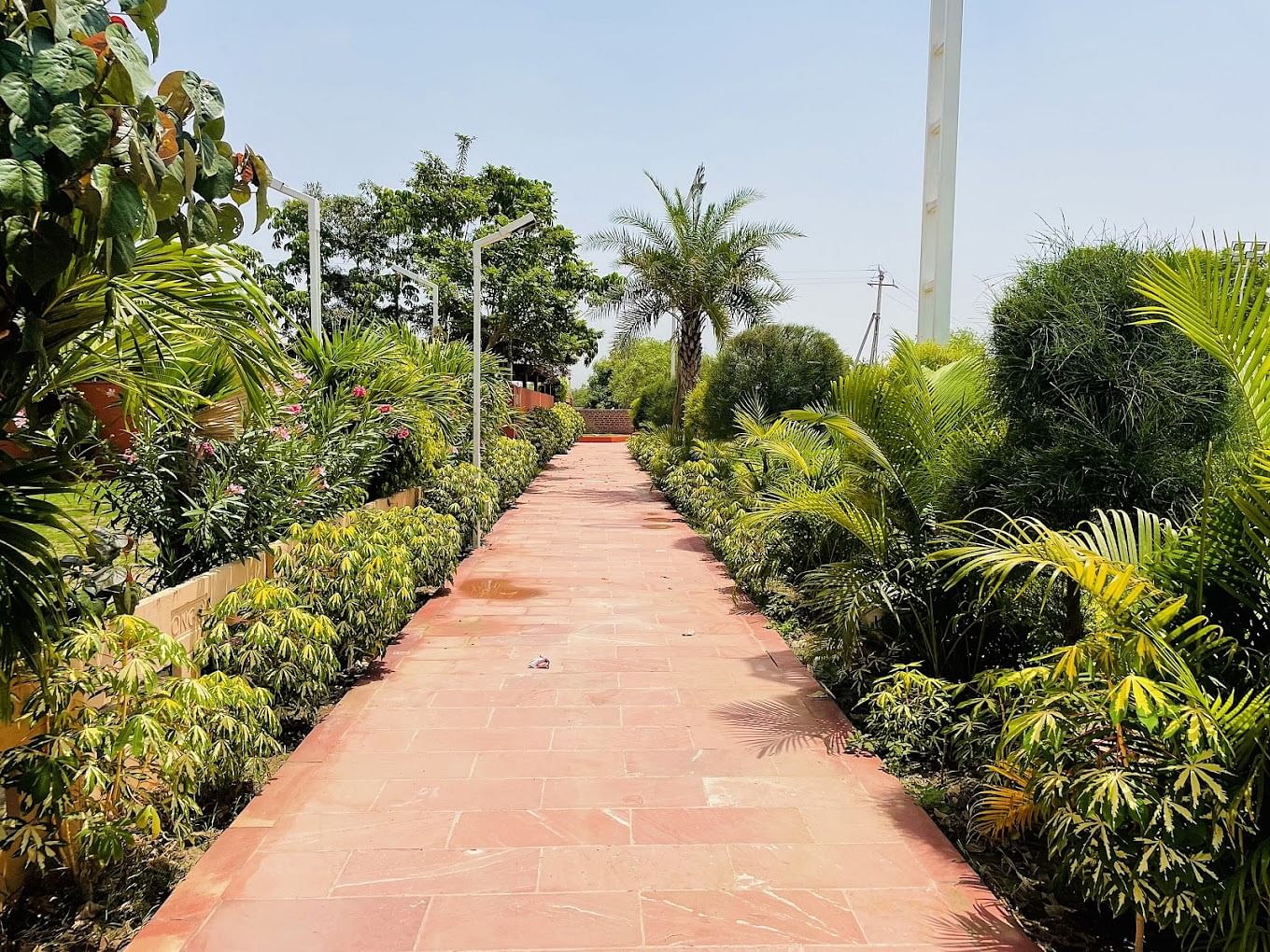 Ruta Farm in Adalaj, Ahmedabad