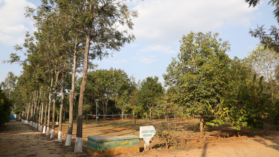 Ankit Vista in Nelamangala, Bangalore