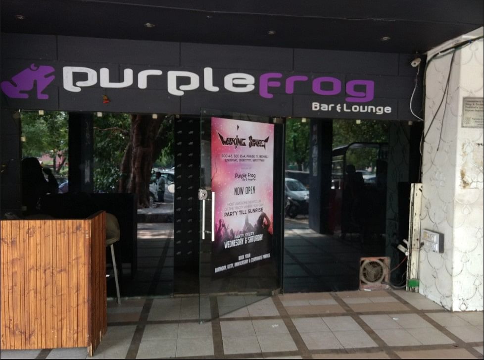 Purple Frog in Sector 26 Chandigarh, Chandigarh