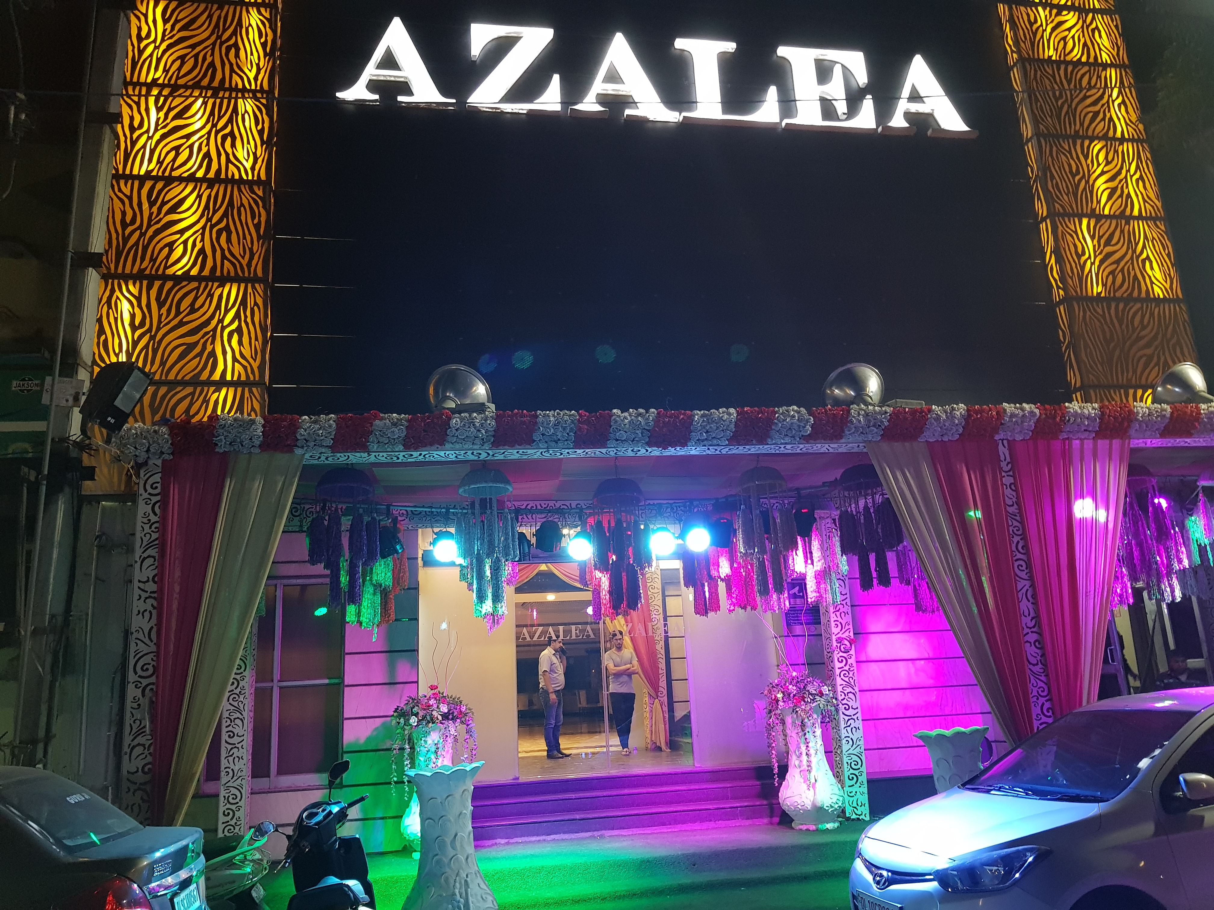 Azalea in Naraina, Delhi