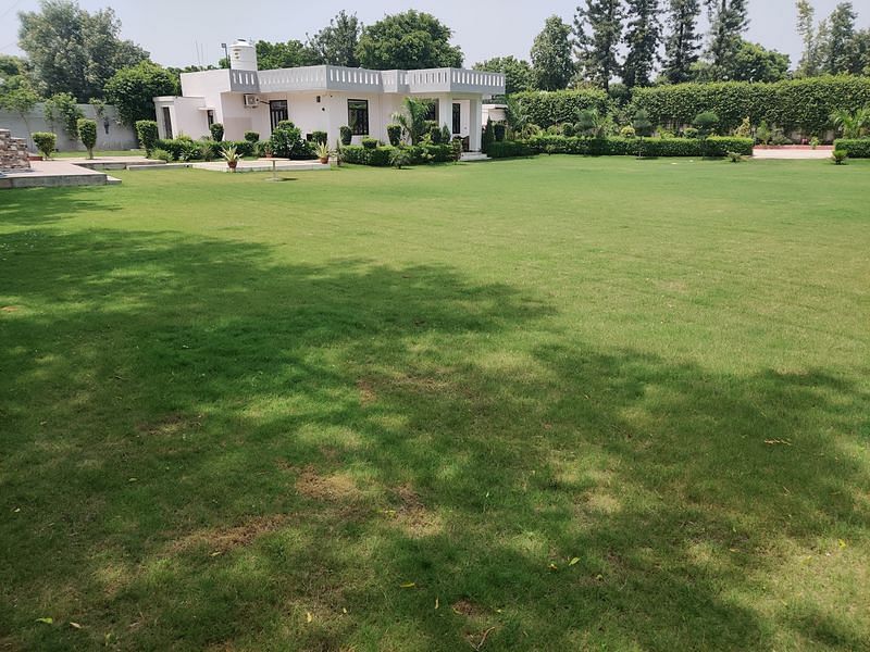 Classy Farm By Gobravo Hotels in Bijwasan, Delhi