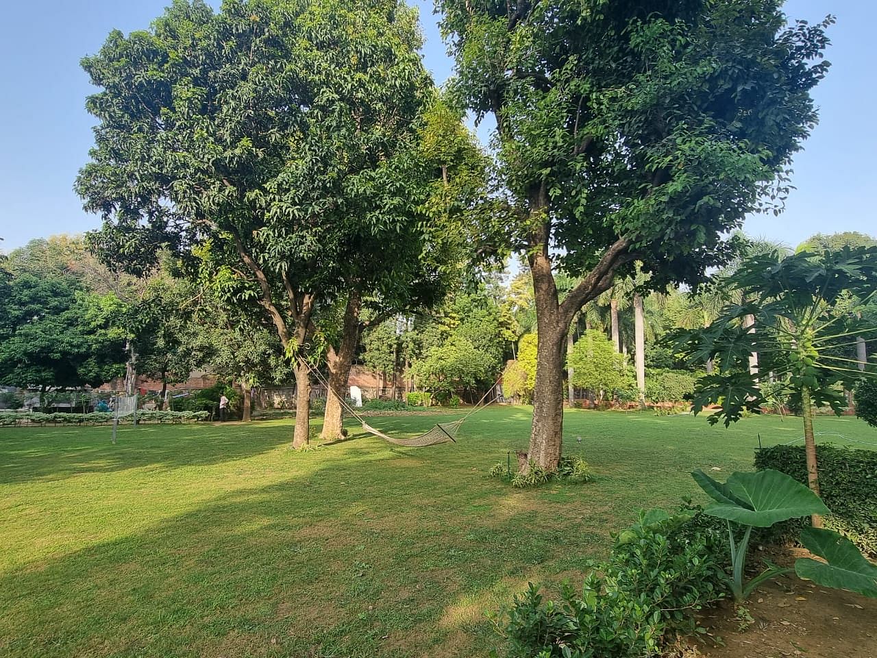 Dawning Greens in Chhatarpur, Delhi Dawning Greens in Chhatarpur, Delhi