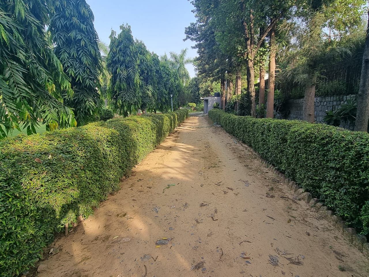 Dawning Greens in Chhatarpur, Delhi Dawning Greens in Chhatarpur, Delhi