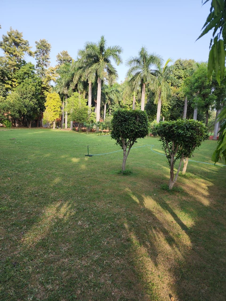 Dawning Greens in Chhatarpur, Delhi Dawning Greens in Chhatarpur, Delhi