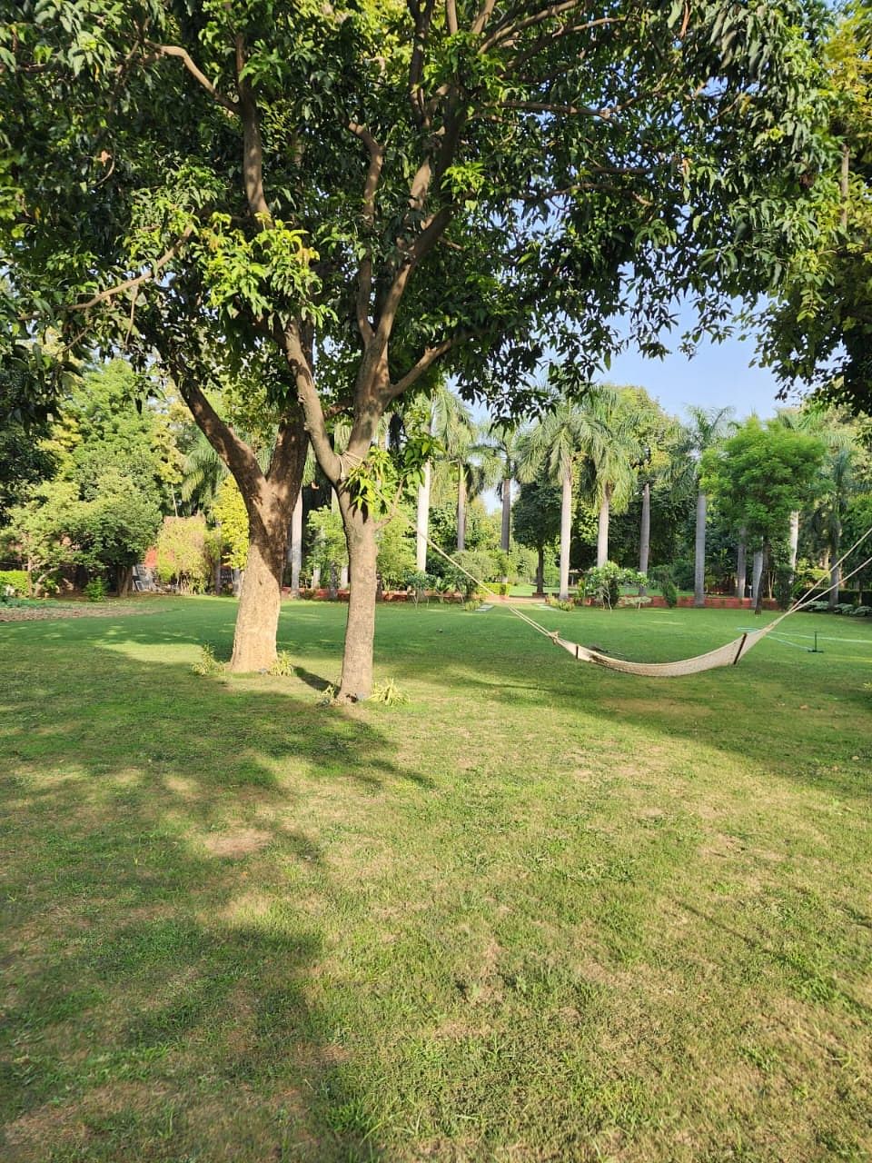 Dawning Greens in Chhatarpur, Delhi Dawning Greens in Chhatarpur, Delhi
