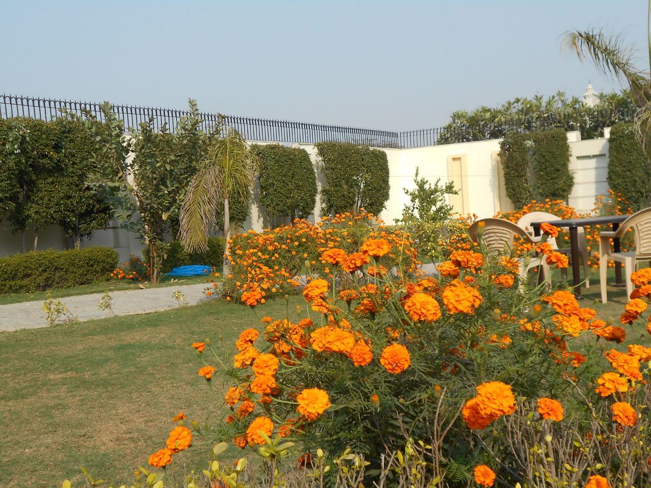 Duke Farms in Chattarpur, Delhi