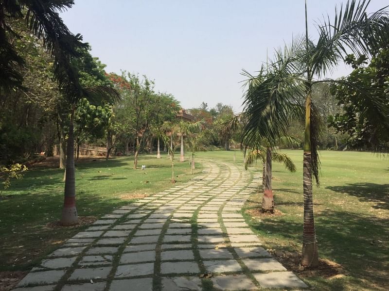 KD Farms By Koncept Deziners in Chattarpur, Delhi