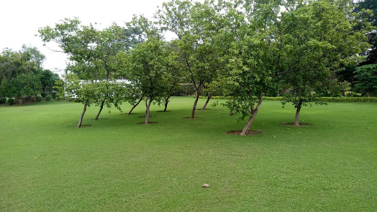 Nijhawan Farms in Dwarka, Delhi