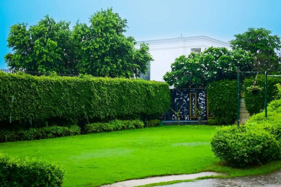 Rose Farm in Chhatarpur, Delhi