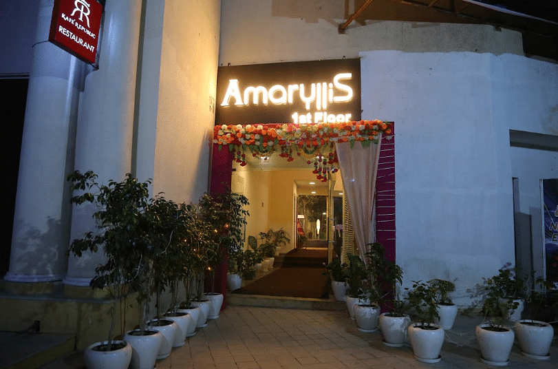 Amaryllis in Indirapuram, Ghaziabad