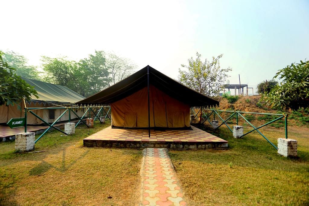 Camp Wild Dhauj in Manger, Gurgaon