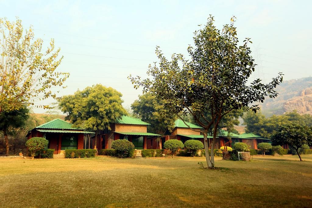 Camp Wild Dhauj in Manger, Gurgaon