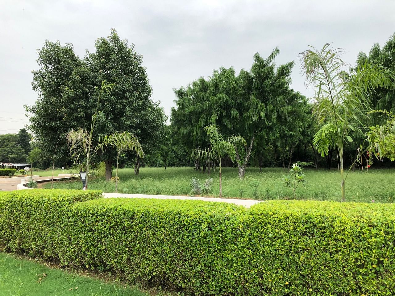 Evergreen Woods in Sohna Road, Gurgaon