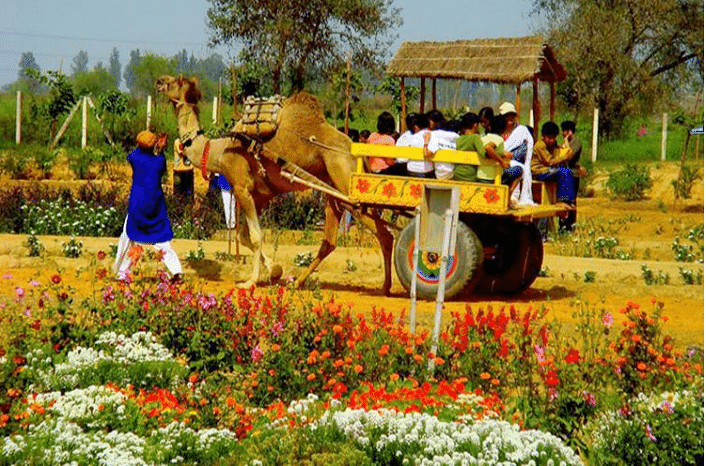 Pratapgarh Farms in Jhajjar, Gurgaon