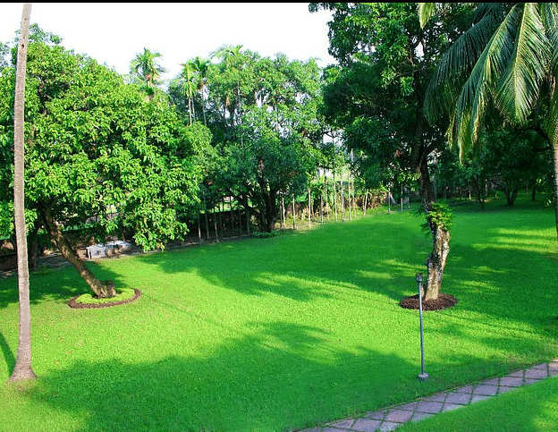 Imperial Garden in City Centre, Kolkata