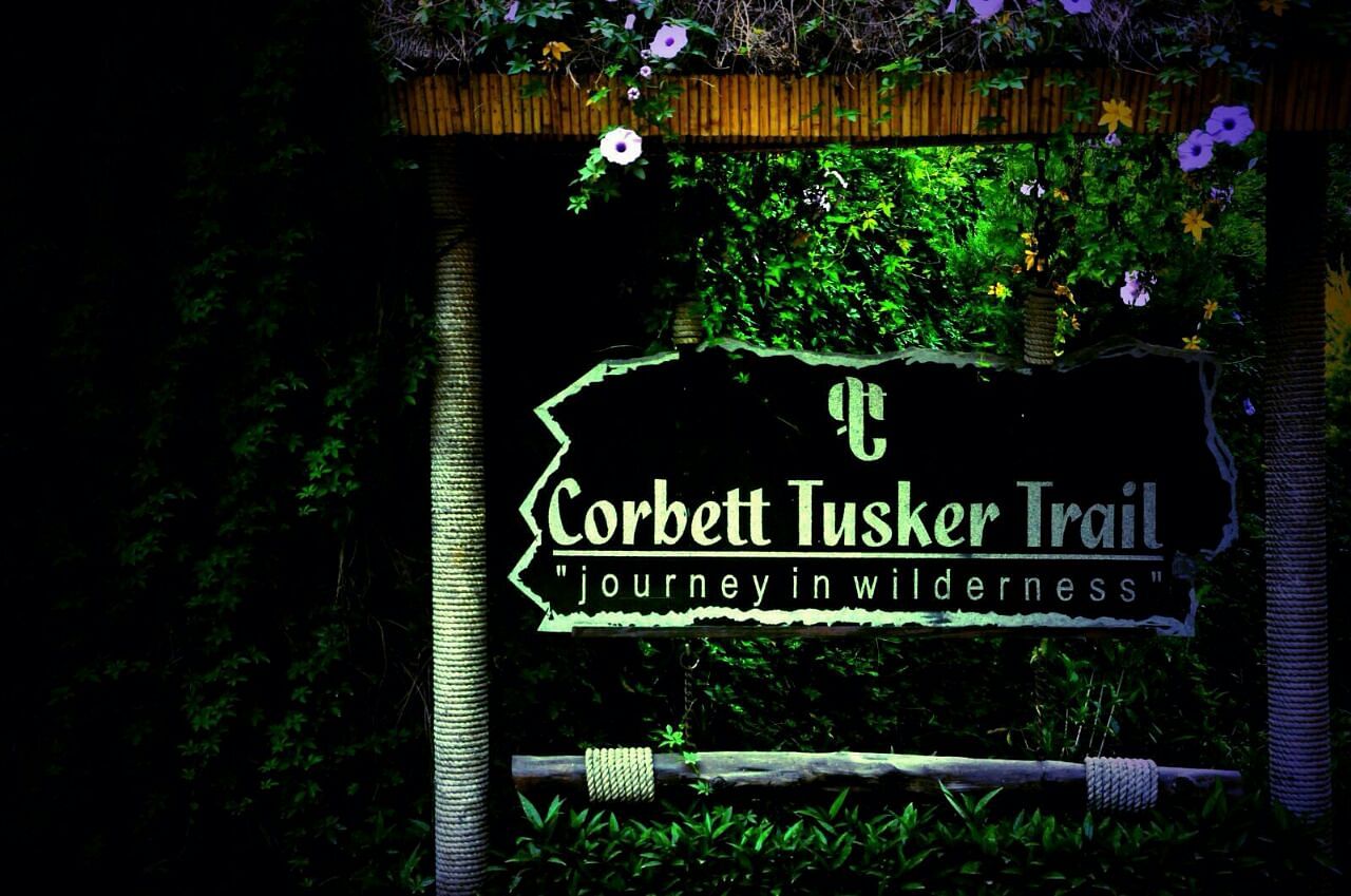 Corbett Tusker Trail in Ramnagar, Nainital