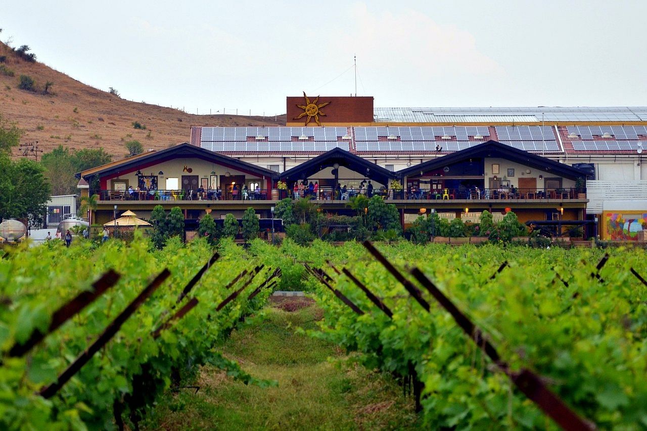 Sula Vineyard in Govardhan Village, Nashik