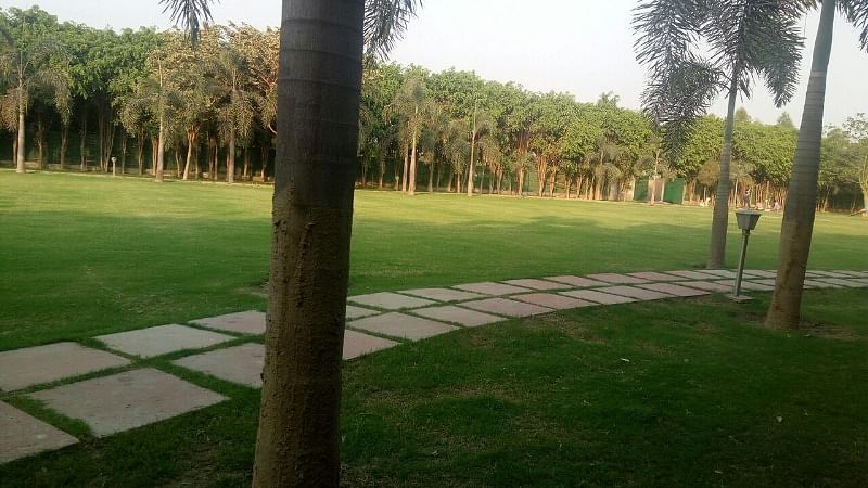 Green Beauty in Sector 3, Noida