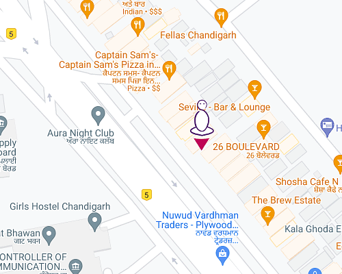 Purple Frog in Sector 26, Chandigarh, Chandigarh