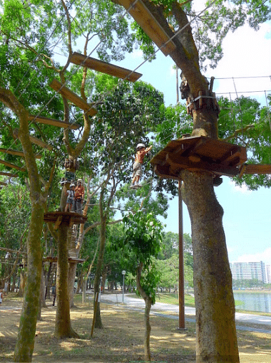 Forest Adventure in Bedok Reservoir Park, Singapore