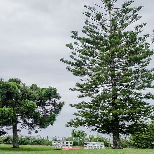 Sublime Point Cafe Function Centre in Mona Vale, Sydney Sublime Point Cafe Function Centre in Mona Vale, Sydney